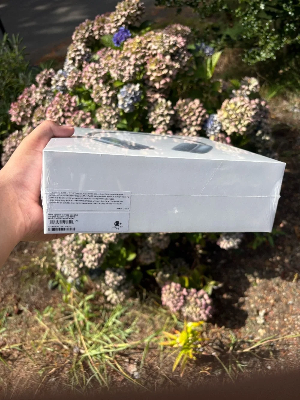 Apple AirPods Max 2 - Blue